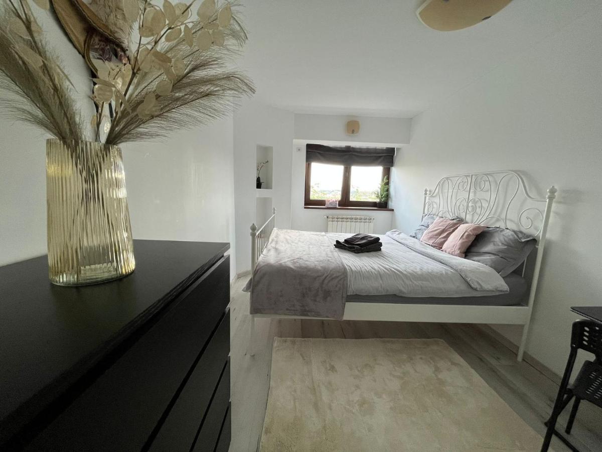City Center Privat-Sauna Familyconcept Ιάσιο Εξωτερικό φωτογραφία